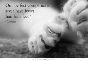 ... Quotes Animal Quotes Pet Quotes Companionship Quotes Companion Quotes