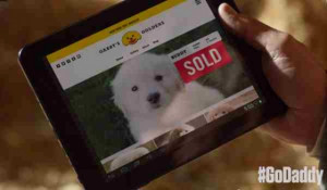 ... : GoDaddy Withdraws 'Lost Puppy' Ad Following Online Backlash [Watch