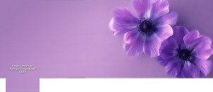 ... : Facebook cover with picture of Soft focused Purple flower on wall