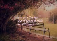 bench #beautiful #pink #tumblrquote