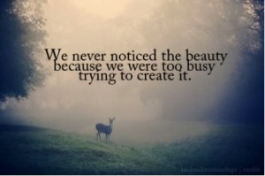 We never noticed the beauty because we were too busy trying to create ...