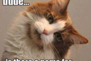 funny-pics.co | funny pics and clips