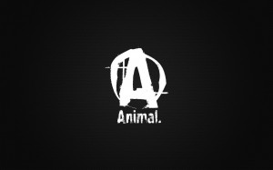 PROMOTION for [UNIVERSAL ANIMAL] SUPPLEMENTS~