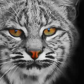 Be the change that you want to see in the world.