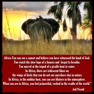 More African Safari Inspirations – Safari Quotes and Sayings