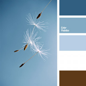 Blue White and Brown Color Pallet