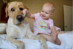 Süße Baby's und Hunde sind eine tolle Kombination! #1
