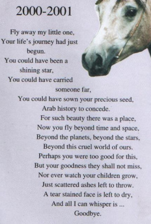 horse quotes poems