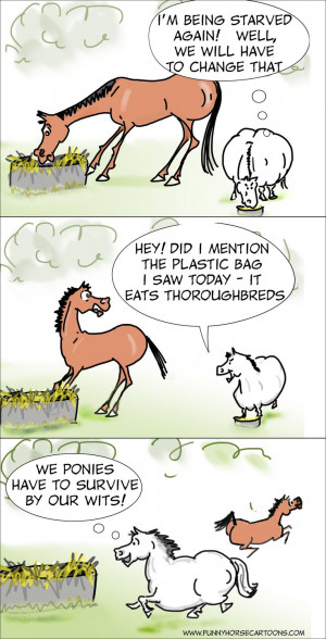 Via Funny Horse Cartoons