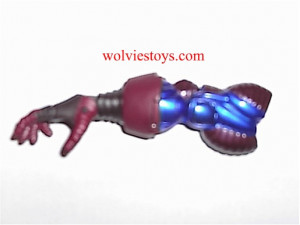 Right Arm Posterior View