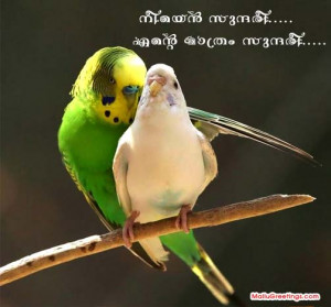 Send Love Greetings to all your Malayali Friends Through Mail , Orkut ...