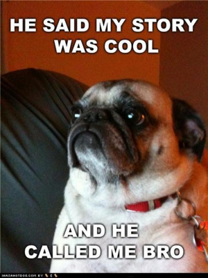 Pugs are without a doubt, some of the most interesting dogs. Take a ...