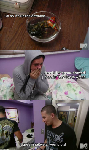 jersey shore, jwoww, lobster, snooki, vinnie