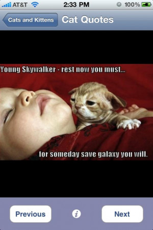 Cute cat pictures with quotes cutest cats amp kittens iappfind