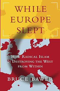 Book cover for While Europe Slept.jpg