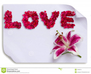 Beautiful love made from red rose petals and lily flower on paper.