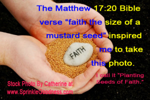Bible Quotes About Planting Seeds. QuotesGram Bible Quotes About Planting Seeds. QuotesGram