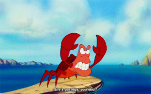 sebastian little mermaid gif