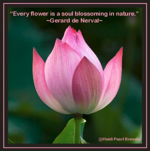 ... blossoming in nature.
