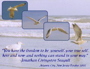 ... Page >> echoes's Scrapbooks >> Jonathan Livingston Seagull - Page 1