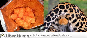Cheetos Balls vs. the real thing. The accuracy is disturbing.