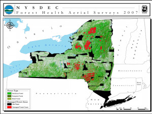 Catskill Mountains New York Map