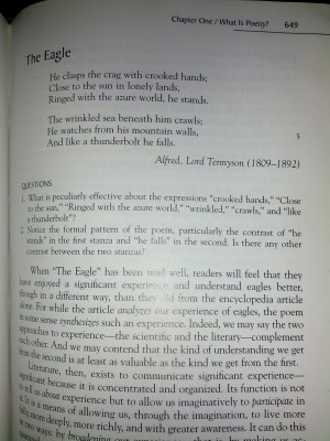 Emily Dickinson Best Poems