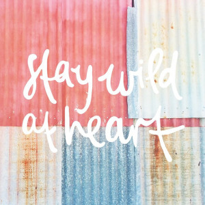 Stay wild at heart ️ #quotes #wildatheart #happyheartdaily # ...