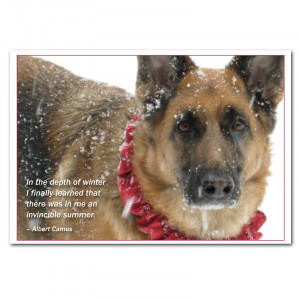 German Shepard Dog in snowstorm photo new years card with Albert Camus ...