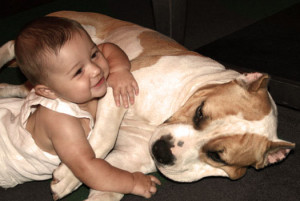Child_Mauls_Pit_Bull_by_SkyeStaff.jpg