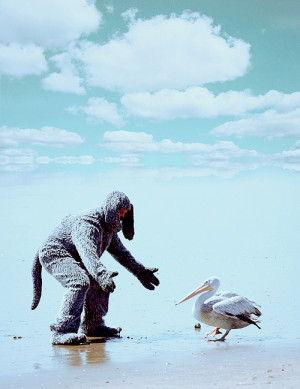 Look Ryan, a pelican! Wilfred: Final Seasons, Nerdy Moments P, Movies ...