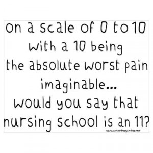 Nursing School Pain Scale II