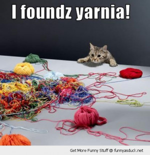 can't imagine our bunny doing something funny or sweet to my yarn ...