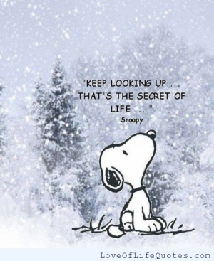 Leave a Comment Cancel reply