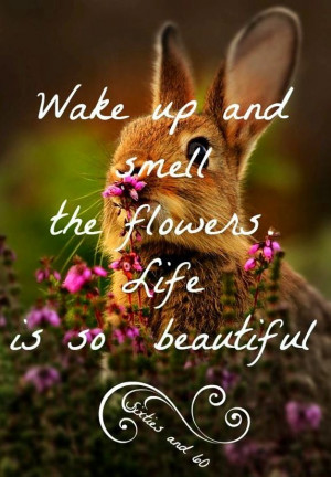 Wake up and smell the flowers quote via 