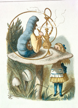 John_Tenniel_-_Illustration_from_The_Nursery_Alice_(1890)_-_c06543_03