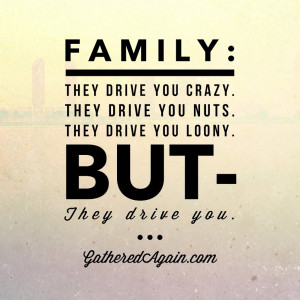 Quotes About Family Problems (25)