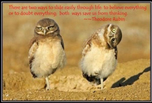 owl quotes and sayings