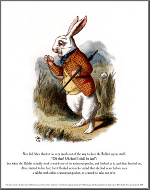 Rabbit ( Alice in wonderland )