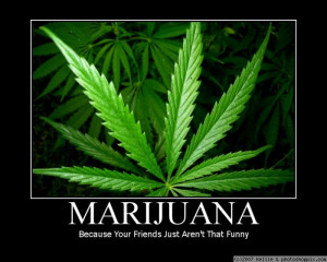 funny marijuana picture Marijuana is… everything.