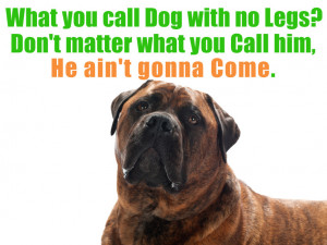 Funny pictures: Dog quotes, famous dog quotes, best dog quotes