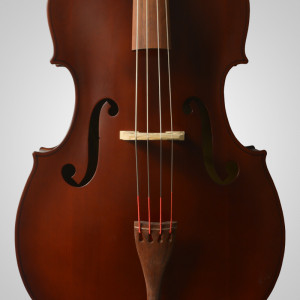 upright double bass