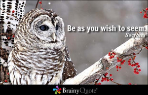 Be as you wish to seem. - Socrates
