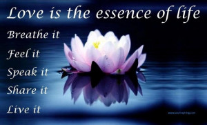 love is the essence..