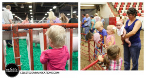 Who is really watching you at livestock shows? www.celesteharned.com