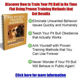 The Pit Bull Training Handbook