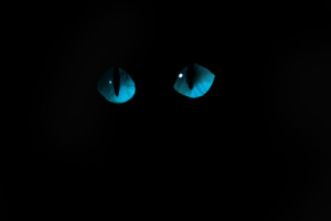 Cheshire Cat Eyes Gif Of cheshire cat's eyes.