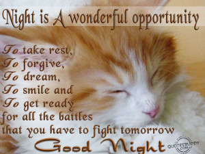 Night Is A Wonderful Opportunity To Take Rest, To Forgive, To Dream ...