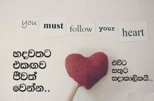 Sinhala Quotes Nisadas