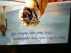life of pi. quote about doubt.